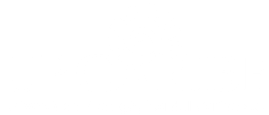 EDUCACIÓN EN LÍNEA
